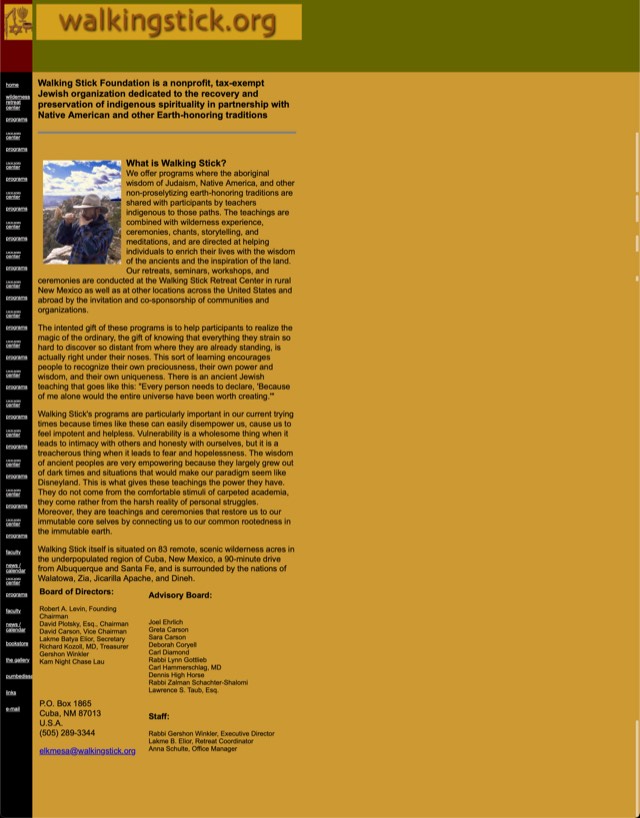 Archive screenshot of the Walking Stick website as built by MIS, circa 2003